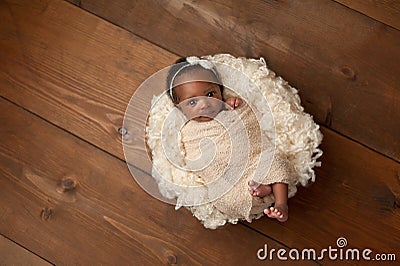 Swaddled Newborn Baby Girl Stock Photo