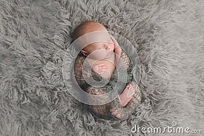 Swaddled, Sleeping Newborn Baby Boy Stock Photo