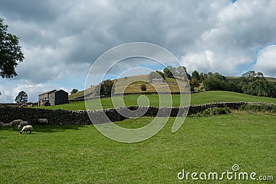 Swaledale Farmland Stock Photo