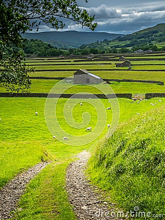 Old Stone Barns in Swaledale Stock Photo