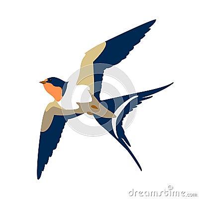 Swallow in flight vector style Flat Vector Illustration