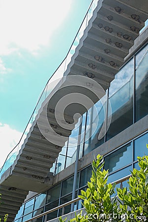 Swallow nests under a concrete stair on a modern building with large glass windows Editorial Stock Photo