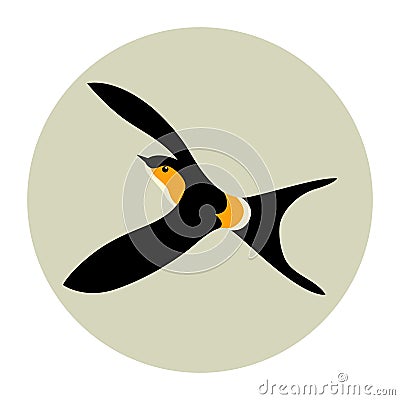 Swallow vector illustration style Flat Vector Illustration