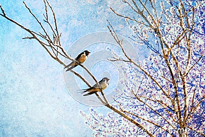 Swallows birds return home on Springtime. Spring nature awaking concept. Stock Photo