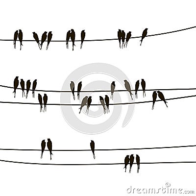 Swallows on wires Vector Illustration