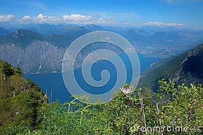 Swallowtail butterfly, wildlife shot at monte baldo mountain, lake garda in the background Stock Photo