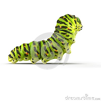 Swallowtail caterpillar or Papilio Machaon on a white. 3D illustration Cartoon Illustration