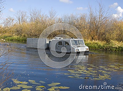 Swamp-carrier. Stock Photo