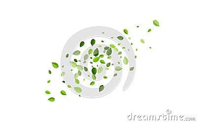 Swamp Foliage Fresh Vector Wallpaper. Tree Greens Vector Illustration