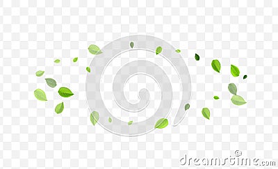 Swamp Foliage Vector Banner. Lime Greens Tree Vector Illustration