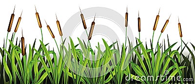 Swamp grass seamless border, vector water green reed plant frame background, river cartoon leaves. Vector Illustration