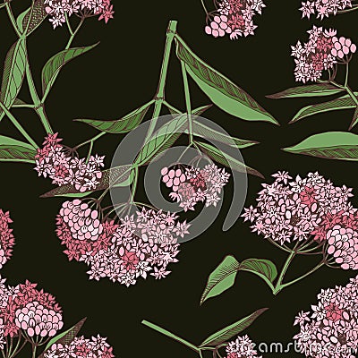 Swamp Milkweed Wildflower seamless dark Vector Illustration