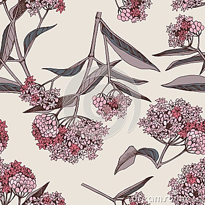 Swamp Milkweed Wildflower seamless vintage Vector Illustration