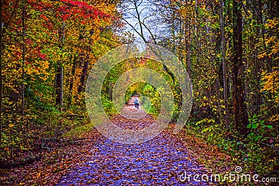 Swamp Rabbit Trail in Greenville South Carolina SC Stock Photo