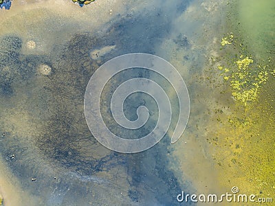 Swamp wetlands Homebush Sydney Australia aerial Stock Photo