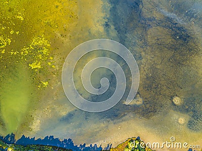 Swamp wetlands Homebush Sydney Australia aerial Stock Photo