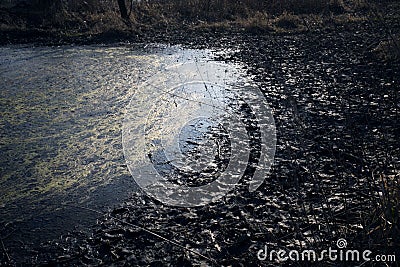 Swamps in autumn. Cool dark lake in primeval forest. Stock Photo