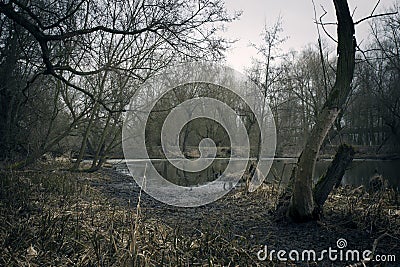 Swamps in autumn. Cool dark lake in primeval forest. Stock Photo