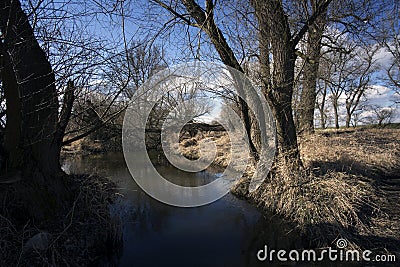 Swamps in autumn. Cool dark lake in primeval forest. Cold melancholic landscape. Stock Photo