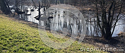 Swamps in autumn. Cool dark lake in primeval forest. Cold melancholic landscape. Stock Photo