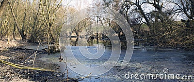 Swamps in autumn. Cool dark lake in primeval forest. Cold melancholic landscape. Stock Photo