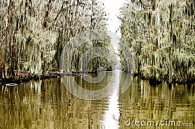 Swamps, Spanish moss, and bayou on Caddo Lake in east Texas. Stock Photo