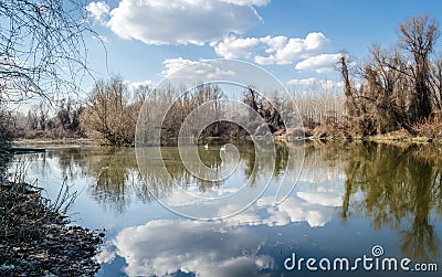 Swampy autumn, sunny landscape Stock Photo