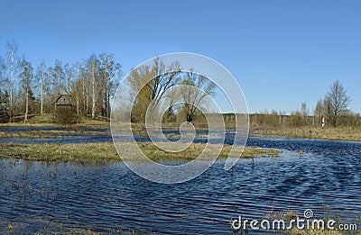 Swampy terrain. The flood of the river Pripyat.Belarus. Stock Photo