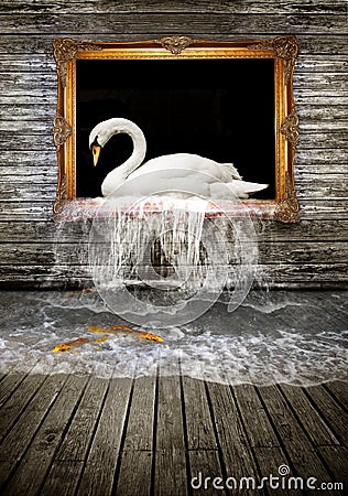 Swan in golden frame Stock Photo