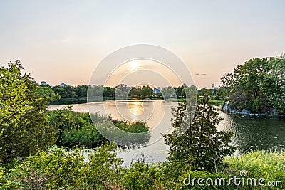 Swan Lake, Jean-Drapeau park in summer evening. Stock Photo