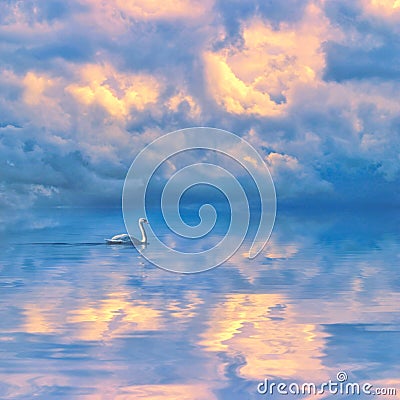 Swan moving on calm blue lake against a picturesque cloudy sky Stock Photo