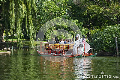 Swan Paddle boat in Public Garden in Boston, USA Editorial Stock Photo