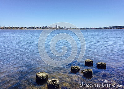 Swan River Stock Photo