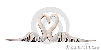 Swan towel hotel decoration, isolated on white background, with Stock Photo