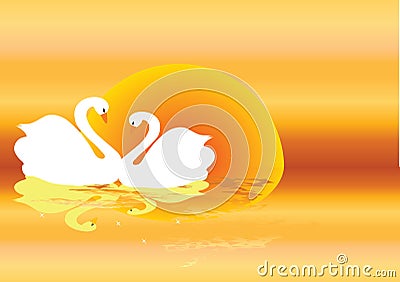 Swans Vector Illustration