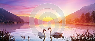 Swans Over Lake At Sunrise Stock Photo