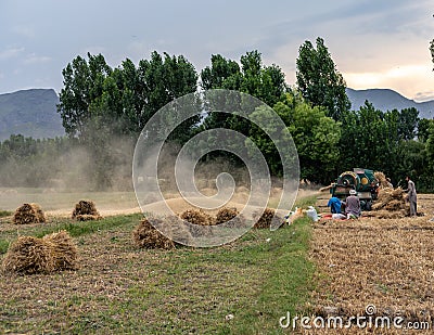 Swat, Pakistan - 24 May 2023: The thresher machine is working on the farm to threshing the wheat crop in Swat valley, Pakistan Editorial Stock Photo