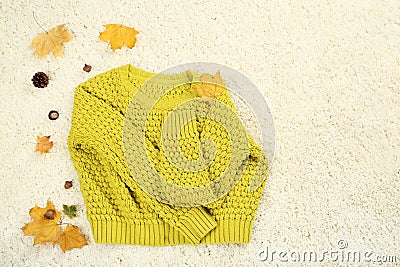 Sweater with chestnut, acorns and leafs Stock Photo