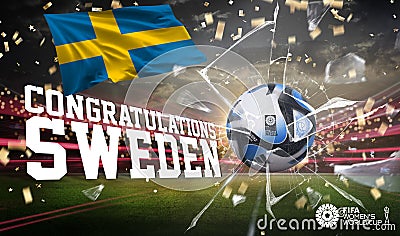 Sweden winning fifa women's football with celebration stadium Cartoon Illustration