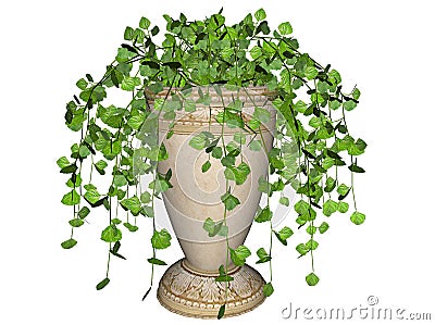 Swedish ivy plant in pot Cartoon Illustration