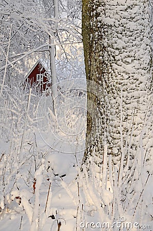 Swedish winter contrasts Stock Photo
