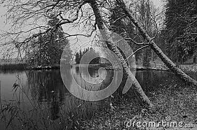 Swedish Winter Landscape In Black And White Stock Photo