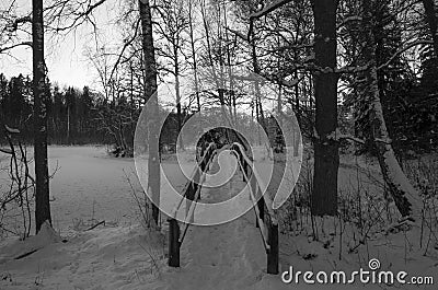 Swedish Winter Landscape In Black And White Stock Photo