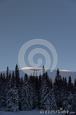 Swedish Winter Wonderland: Snowy Forest with Majestic Mountain at Sunrise Stock Photo