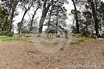 Sweeny Observatory Golden Gate Park San Francisco, 4. Stock Photo