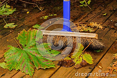 Sweeping leaves Stock Photo