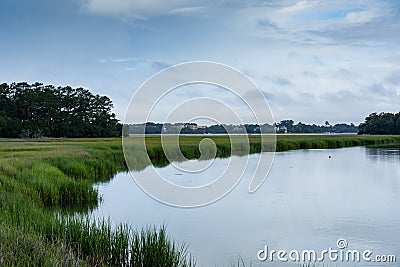 Sweeping waterway through a grassy salt marsh, treeline and early morning clouds and reflection, Mount Pleasant South Carolina Stock Photo