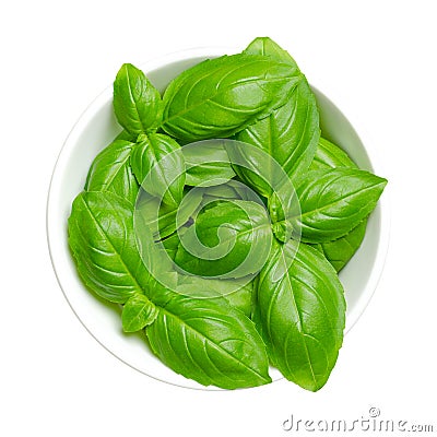 Fresh green sweet basil leaves, great or Genovese basil, in white bowl Stock Photo