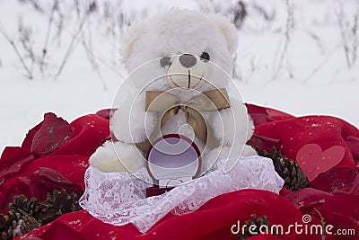 Sweet bear with treasure box Stock Photo