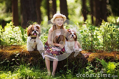 Sweet beautiful girl 7 years old hugs two identical Shih Tzu dogs on a clearing in the forest Stock Photo